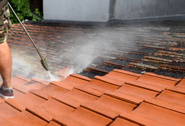 Best Roof Pressure Washing  in West Liberty, KY