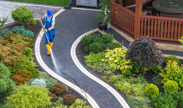 Best Affordable Pressure Washing  in West Liberty, KY